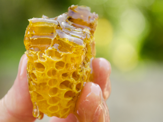 Miele ibleo prodotto nella Valle dell'Anapo (Monti Iblei) - ph Simona Di Bella