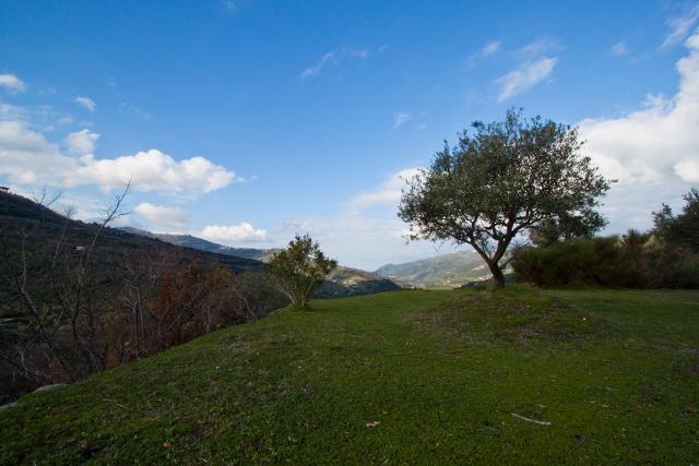 In cima, sui Nebrodi - Foto di Maria Izzo