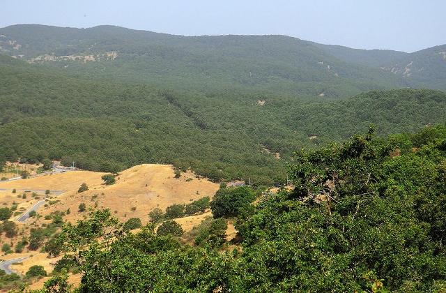 Laghetti montani, prati fioriti, ombrosi boschi secolari, spazi incontaminati. Questo e molto di più offrono i Nebrodi - Foto di Massimiliano Salvatore Squatrito