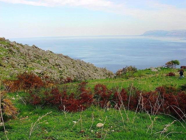 Sentiero di mezza costa - Riserva dello Zingaro