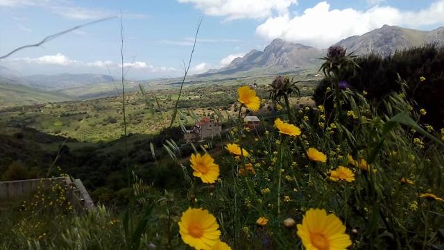 Panorama da Baucina. Sullo sfondo Pizzo Cane