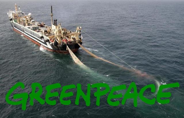 L'allarme di Greenpeace: ''In Sicilia troppa pesca a strascico''