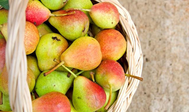 Le pere aiutano a mantenere sani i nostri polmoni e migliorano sensibilmente le condizioni delle nostre vie respiratorie...