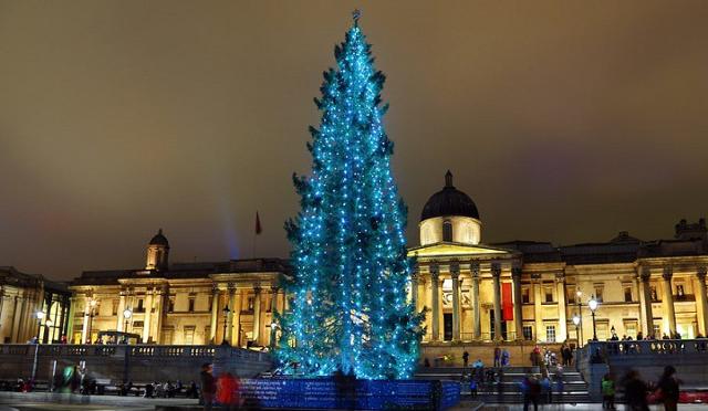 L'albero di Natale a Trafalgar Square, a Londra, è un dono della Norvegia all'Inghilterra L'albero di Natale a Trafalgar Square, a Londra, è un dono della Norvegia all'Inghilterra