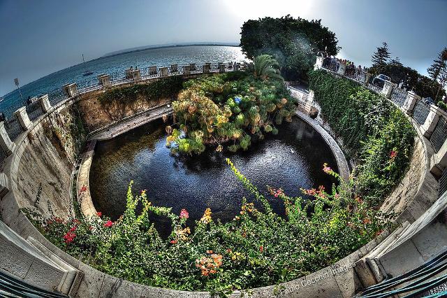 La Fonte Aretusa ad Ortigia - ph Fabio Cecchin