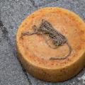 La Sicilia che resiste nei Presìdi Slow Food