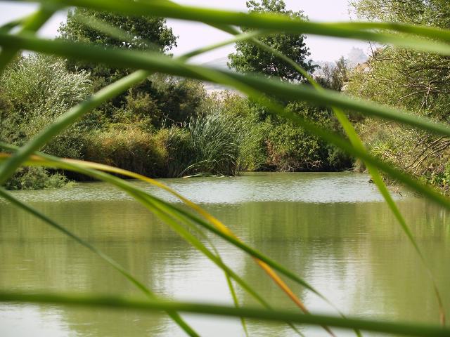 Un tratto del fiume San Leonardo - ph www.partecipiamo.it