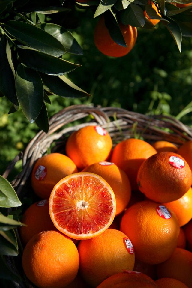 Arancia Rossa di Sicilia IGP