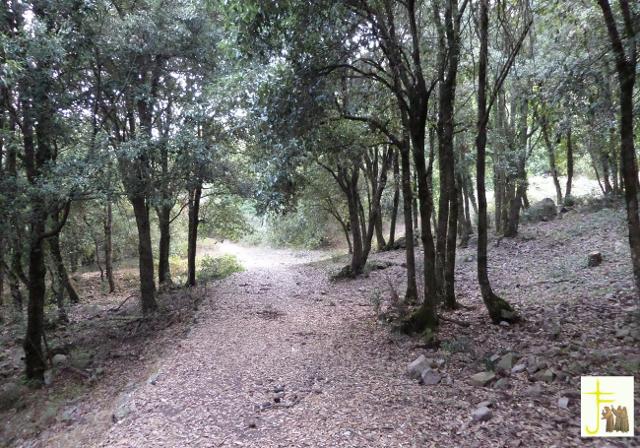 Sentiero che da Gibilmanna porta verso Cefalù