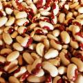 La Sicilia che resiste nei Presìdi Slow Food