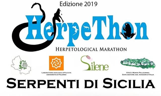 herpethon-serpenti-di-sicilia