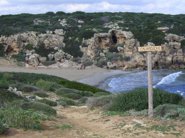 Calamosche d'inverno - ph Epanto Calamosche d'inverno - ph Epanto