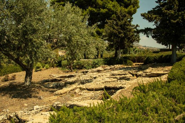 I resti di una necropoli paleocristiana all'interno del giardino di Villa Aurea I resti di una necropoli paleocristiana all'interno del giardino di Villa Aurea