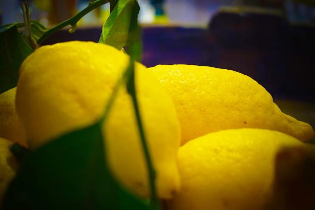 festa-del-limone