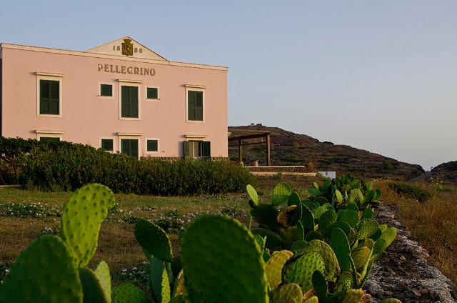 Cantine Pellegrino a Pantelleria