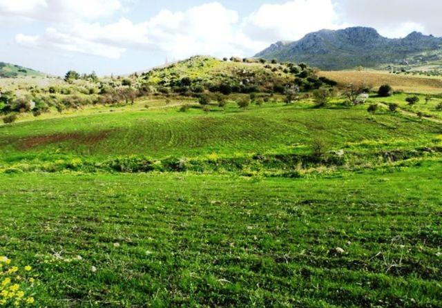 La Riserva di Pizzo Cane, Pizzo Trigna e Grotta Mazzamuto