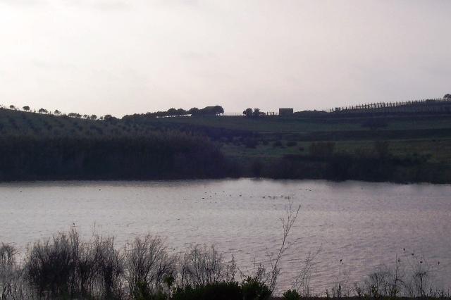 Biviere di Gela - ph Alessandro451
