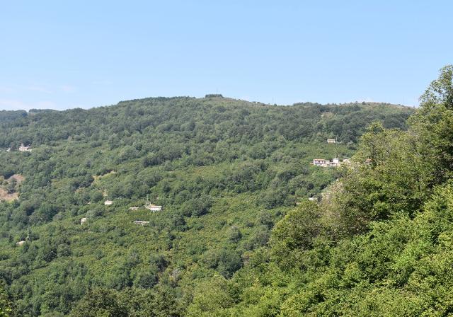 Bosco Vallone Calagna Bosco Vallone Calagna