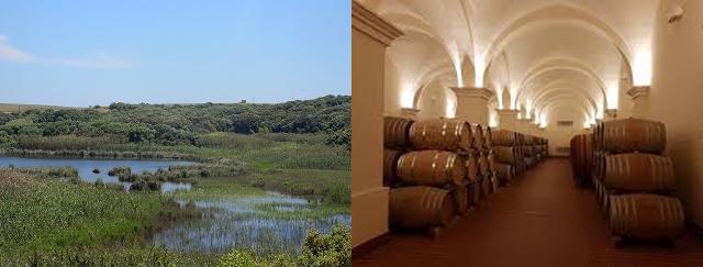 gorghi-tondi-e-degustazione-in-cantina