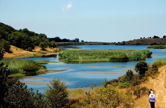 Riserva Naturale Orientata Biviere di Gela