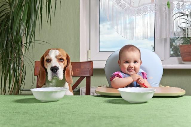 Animali domestici come figli: la Pet Economy sempre più vicina al Baby Care