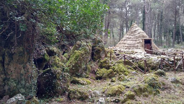 visita-al-bosco-della-riserva-naturale-orientata-serre-della-pizzuta