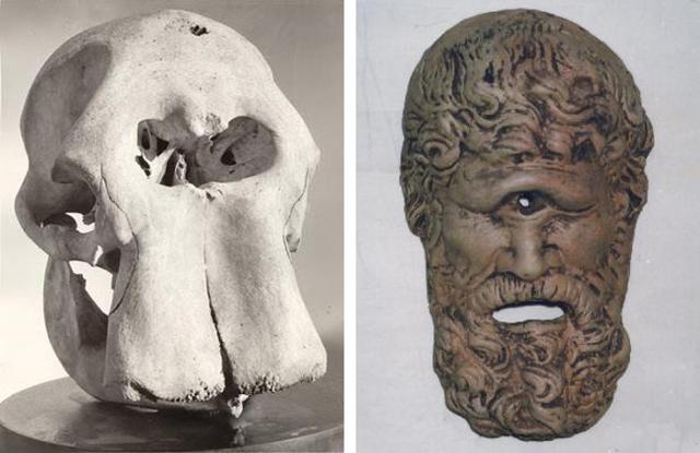 Il ritrovamento in età classica di resti paleontologici degli elefanti nani hanno dato origine alla leggenda della reale esistenza dei Ciclopi...