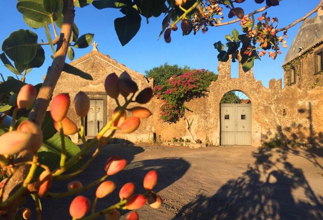 Rinviata anche per quest'anno la Sagra del Pistacchio di Bronte