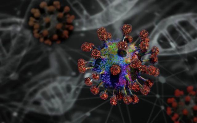 L'Università di Palermo studia la genetica del Coronavirus