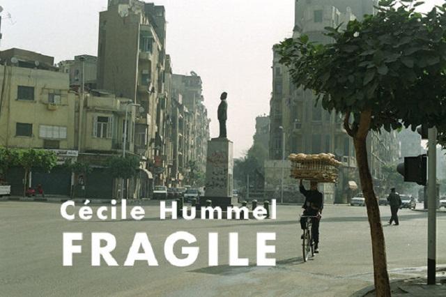 -fragile-dell-artista-svizzera-cecile-hummel
