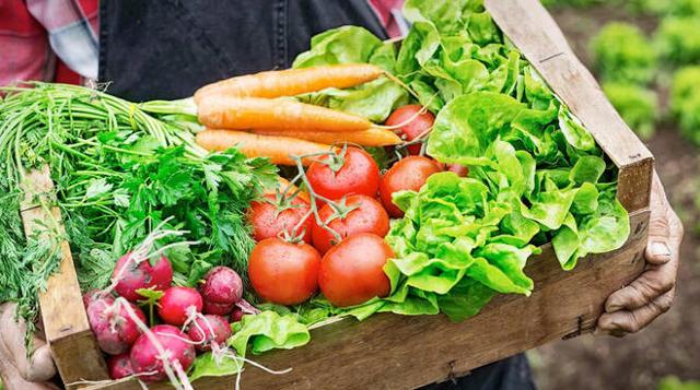 Uno siciliano su due (49%) ama acquistare generi agroalimentari direttamente dal produttore, scelti perché garanzia di qualità, cura dei prodotti e, molte volte, in virtù di un rapporto di fiducia con il produttore stesso...