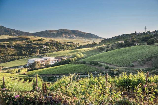 Tenuta Pianetto, Santa Cristina Gela Tenuta Pianetto, Santa Cristina Gela