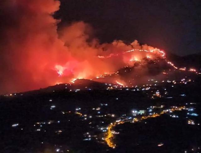 Incendio ad Altofonte, Wwf: ''Attentato al nostro territorio''