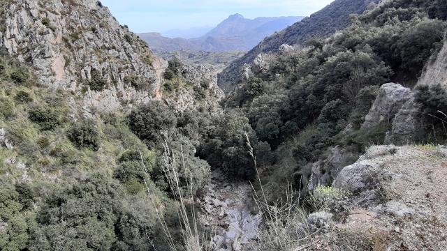 escursione-al-bosco-del-marchese-artale-a-trabia