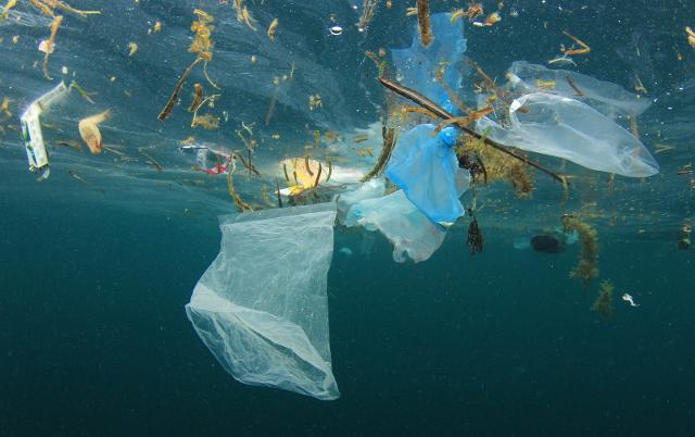 L'inquinamento maggiore finisce negli oceani e l'80% dell'inquinamento marino consiste in plastica...