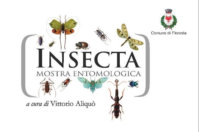 per-la-settimana-del-pianeta-terra-a-floresta-mostra-insecta