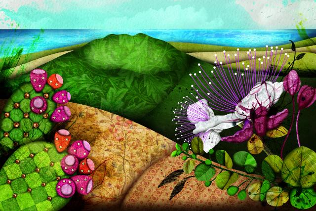 Il paesaggio pantesco secondo Nancy Rossit