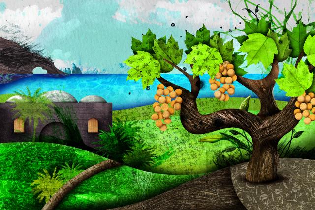 Lo zibibbo di Pantelleria secondo Nancy Rossit