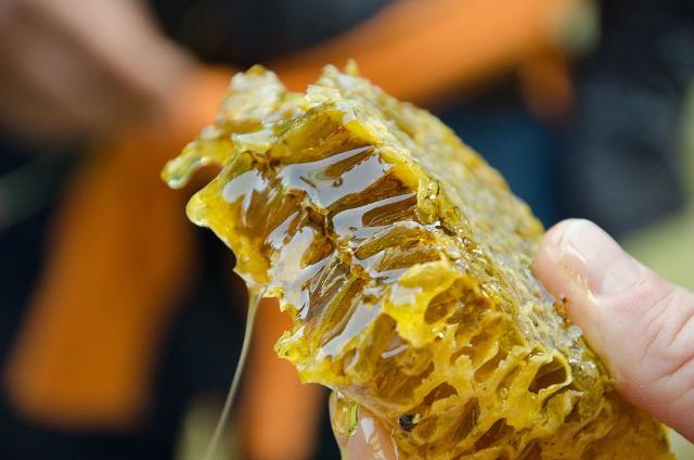 Miele ibleo prodotto nella Valle dell'Anapo (Monti Iblei) - ph Simona Di Bella