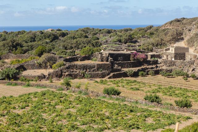 Strutture Mandrarossa in contrada Monastero