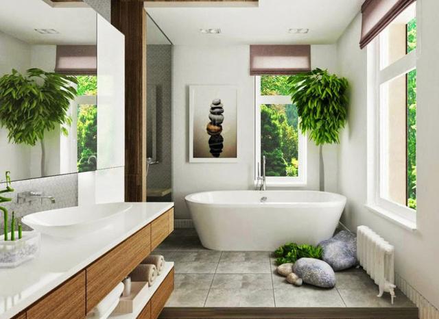 Alcune piante di origine tropicale possono trovarsi bene in un ambiente come il bagno...