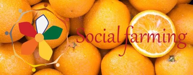 "Social Farming: Agricoltura sociale per la filiera agrumicola siciliana"