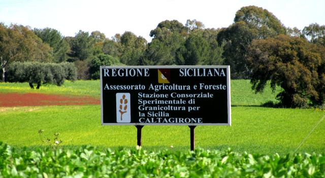 porte-aperte-alla-stazione-consorziale-sperimentale-di-granicoltura-per-la-sicilia
