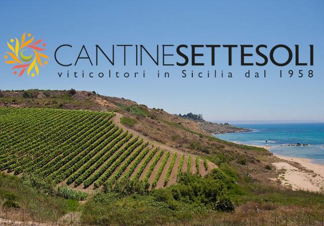 Una grande storia siciliana, quella di Cantine Settesoli