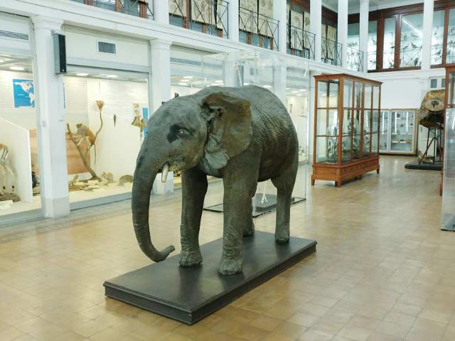 A Catania, per la riapertura dei musei, ci sarà una bella sorpresa!