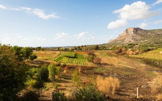 In Sicilia, grazie all'agroecologia, sta crescendo una foresta commestibile