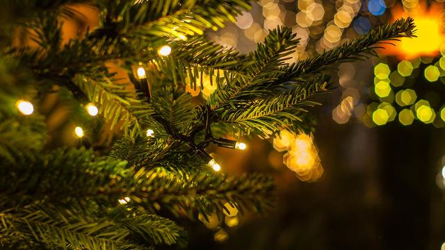 Come evitare un aumento dei consumi e delle utenze a Natale?