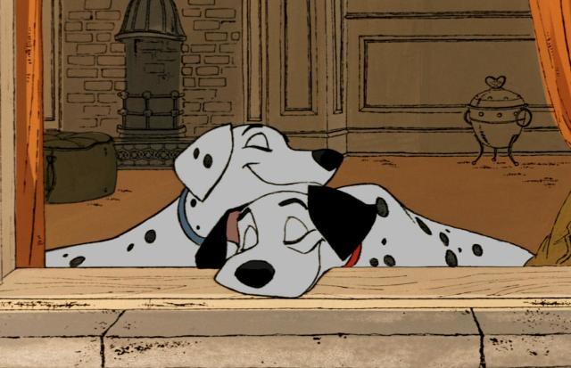 Alcuni studi hanno dimostrato che i cani sono capaci di riconoscere le emozioni negative e quelle positive (soprattutto le negative) provate dagli altri cani e dalle persone...