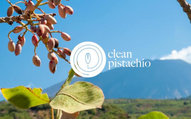 ''Clean Pistachio'', per un pistacchio buono, sostenibile e più facile da coltivare