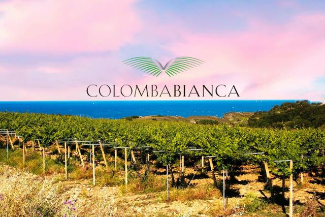 I vini di Colomba Bianca premiati alla ''London Wine Competition 2021''